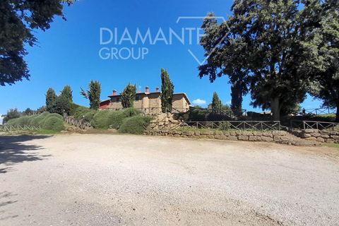 Farm i Sorano, Grosseto, Sorano - € 3.200.000 | Ref: AZ333 - foto 6