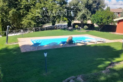Farm i Sorano, Grosseto, Sorano - € 3.200.000 | Ref: AZ333 - foto 8