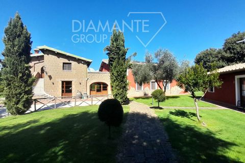 Farm i Sorano, Grosseto, Sorano - € 3.200.000 | Ref: AZ333 - foto 11