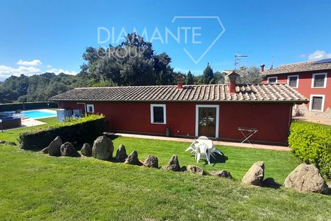 Farm hus i Sorano, Grosseto, Sorano - € 1.700.000 | Ref: AZ332 - foto 7