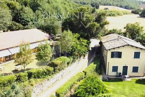 Farm i Valentano, Viterbo, Valentano - € 450.000 | Ref: AZ331 - foto 2