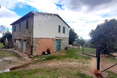 Farm i Scansano, Grosseto, Scansano - € 550.000 | Ref: AZ330 - foto 1