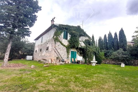Farm i Scansano, Grosseto, Scansano - € 550.000 | Ref: AZ330 - foto 2