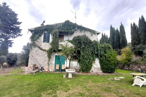 Farm i Scansano, Grosseto, Scansano - € 550.000 | Ref: AZ330 - foto 3