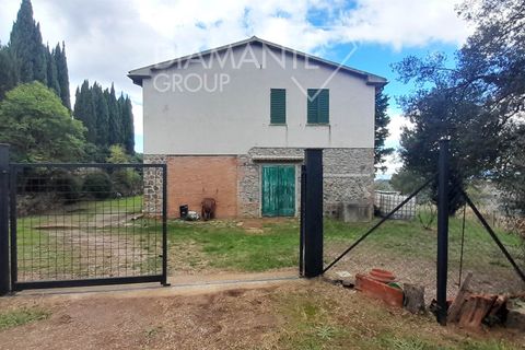Farm i Scansano, Grosseto, Scansano - € 550.000 | Ref: AZ330 - foto 4
