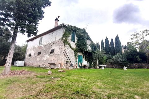 Farm i Scansano, Grosseto, Scansano - € 550.000 | Ref: AZ330 - foto 5