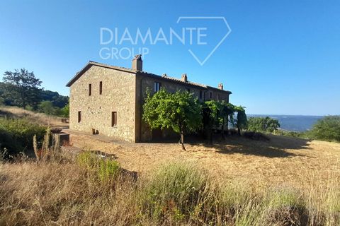 Farm i Acquapendente, Viterbo, Acquapendente - € 750.000 | Ref: AZ326 - foto 6