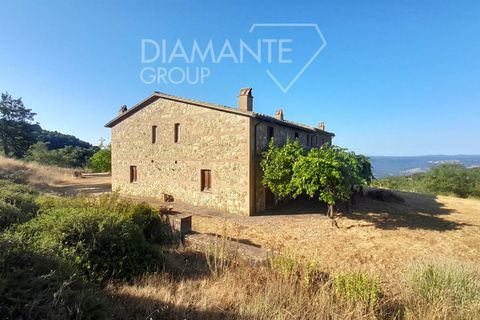 Farm i Acquapendente, Viterbo, Acquapendente - € 750.000 | Ref: AZ326 - foto 7
