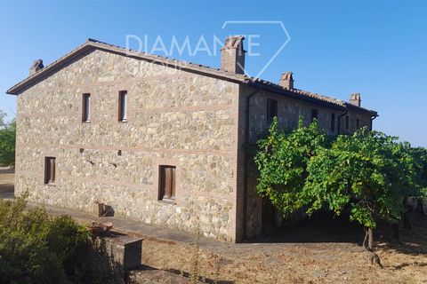 Farm i Acquapendente, Viterbo, Acquapendente - € 750.000 | Ref: AZ326 - foto 8