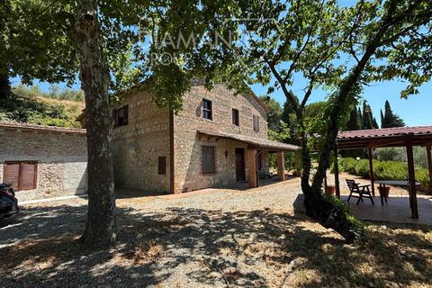 Farm i Cetona, Siena, Cetona - € 720.000 | Ref: AZ325 - foto 2