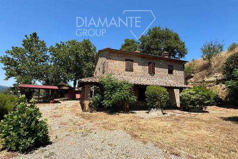 Farm i Cetona, Siena, Cetona - € 720.000 | Ref: AZ325 - foto 3
