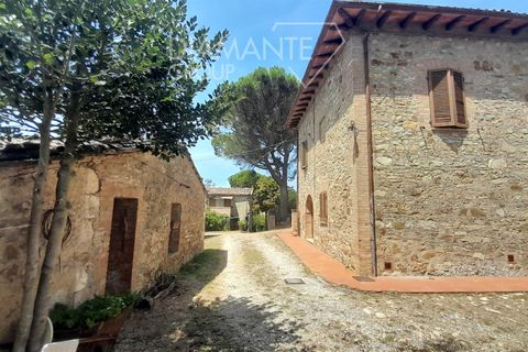 Farm i Sovicille, Siena, Sovicille - € 1.150.000 | Ref: AZ322 - foto 3