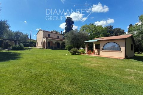 Farm i Scansano, Grosseto, Scansano - € 630.000 | Ref: AZ317 - foto 3