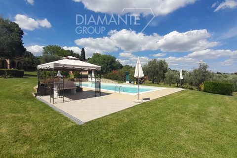 Farm i Scansano, Grosseto, Scansano - € 630.000 | Ref: AZ317 - foto 5