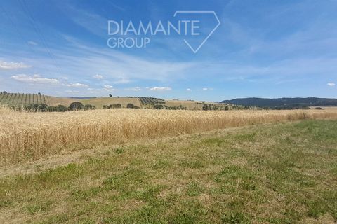 Farm i Scansano, Grosseto, Scansano - € 630.000 | Ref: AZ317 - foto 10