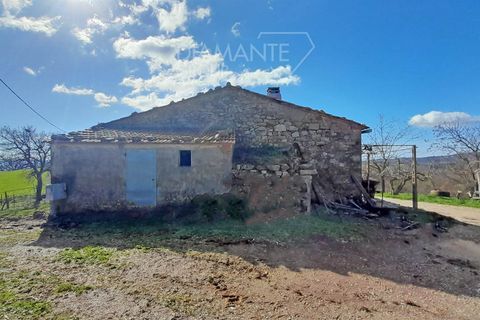 Farm i Scansano, Grosseto, Scansano - € 350.000 | Ref: AZ297 - foto 1