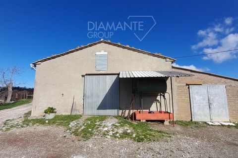 Farm i Scansano, Grosseto, Scansano - € 350.000 | Ref: AZ297 - foto 2