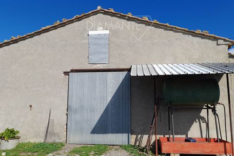 Farm i Scansano, Grosseto, Scansano - € 350.000 | Ref: AZ297 - foto 3