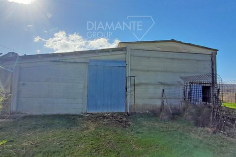 Farm i Scansano, Grosseto, Scansano - € 350.000 | Ref: AZ297 - foto 4