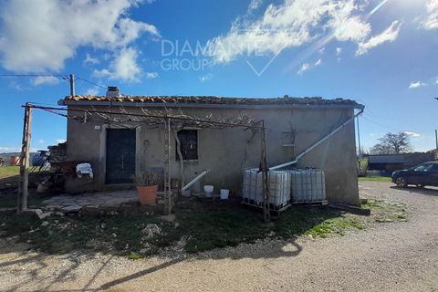 Farm i Scansano, Grosseto, Scansano - € 350.000 | Ref: AZ297 - foto 5