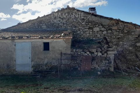 Farm i Scansano, Grosseto, Scansano - € 350.000 | Ref: AZ297 - foto 6