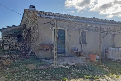 Farm i Scansano, Grosseto, Scansano - € 350.000 | Ref: AZ297 - foto 7