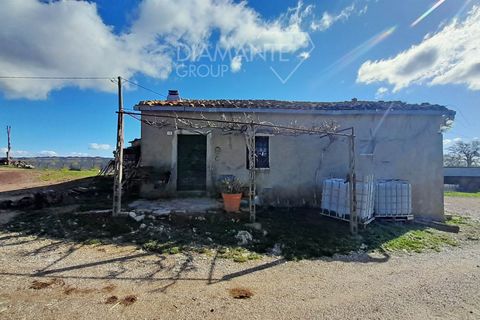 Farm i Scansano, Grosseto, Scansano - € 350.000 | Ref: AZ297 - foto 8