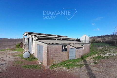 Farm i Scansano, Grosseto, Scansano - € 350.000 | Ref: AZ297 - foto 10
