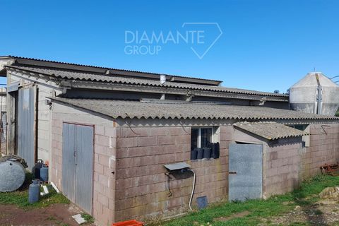 Farm i Scansano, Grosseto, Scansano - € 350.000 | Ref: AZ297 - foto 11