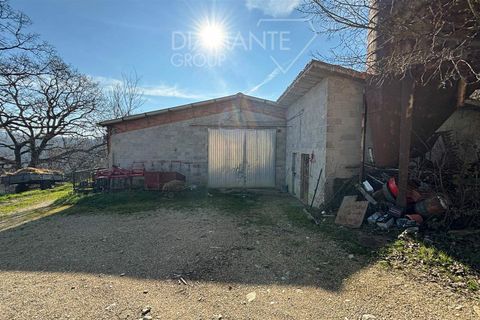 Gård i Gubbio, Perugia, Gubbio - € 550 000 | Ref: AZ289 - foto 10