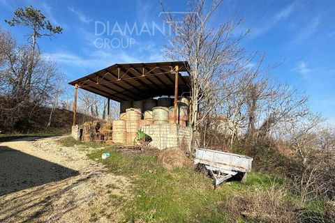 Gård i Gubbio, Perugia, Gubbio - € 550 000 | Ref: AZ289 - foto 11
