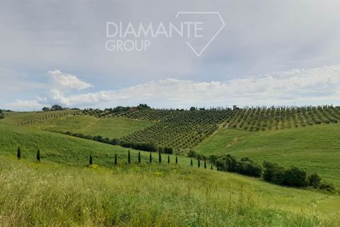 Farm i Scansano, Grosseto, Scansano - € 670.000 | Ref: az287 - foto 1