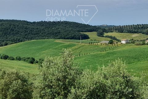 Farm i Scansano, Grosseto, Scansano - € 670.000 | Ref: az287 - foto 2