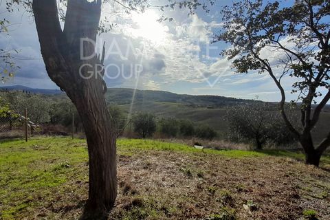 Farm i Scansano, Grosseto, Scansano - € 670.000 | Ref: az287 - foto 4