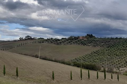Farm i Scansano, Grosseto, Scansano - € 670.000 | Ref: az287 - foto 6