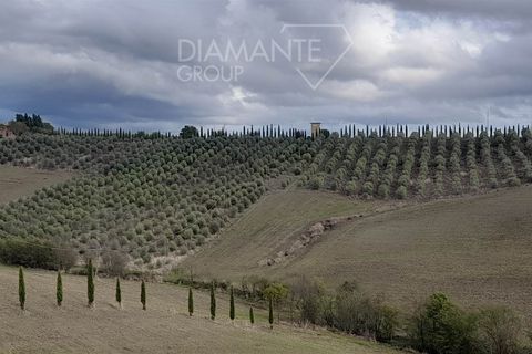 Farm i Scansano, Grosseto, Scansano - € 670.000 | Ref: az287 - foto 7