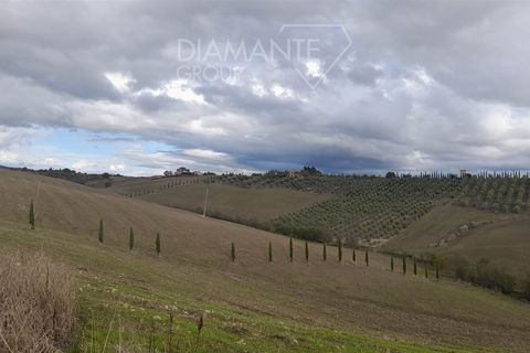Farm i Scansano, Grosseto, Scansano - € 670.000 | Ref: az287 - foto 8
