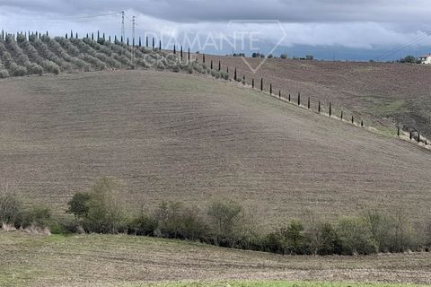 Farm i Scansano, Grosseto, Scansano - € 670.000 | Ref: az287 - foto 9
