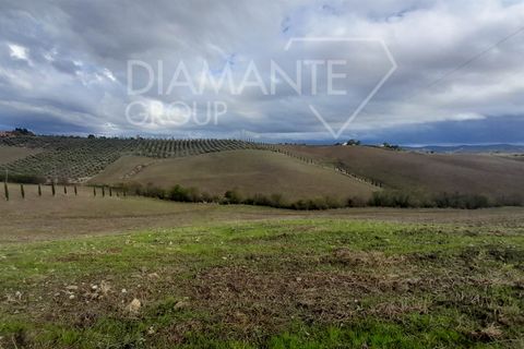 Farm i Scansano, Grosseto, Scansano - € 670.000 | Ref: az287 - foto 10