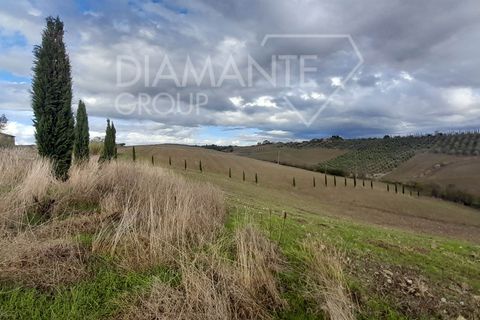 Farm i Scansano, Grosseto, Scansano - € 670.000 | Ref: az287 - foto 11