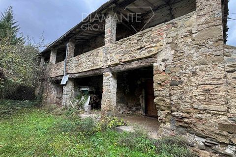 Farm i Poppi, Arezzo, Poppi - € 250.000 | Ref: AZ275 - foto 1