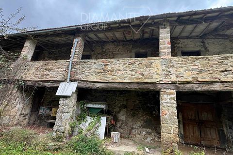 Farm i Poppi, Arezzo, Poppi - € 250.000 | Ref: AZ275 - foto 3