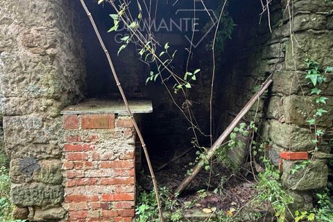 Farm i Poppi, Arezzo, Poppi - € 250.000 | Ref: AZ275 - foto 4