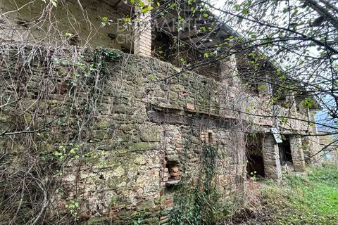 Farm i Poppi, Arezzo, Poppi - € 250.000 | Ref: AZ275 - foto 5