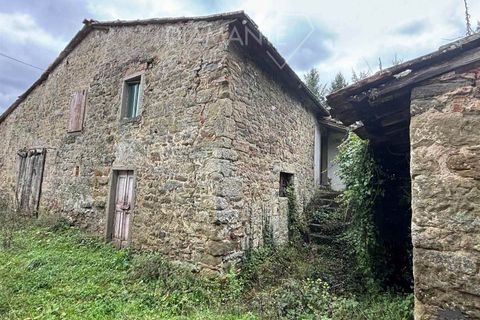 Farm i Poppi, Arezzo, Poppi - € 250.000 | Ref: AZ275 - foto 6