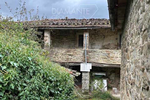 Farm i Poppi, Arezzo, Poppi - € 250.000 | Ref: AZ275 - foto 9