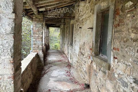 Farm i Poppi, Arezzo, Poppi - € 250.000 | Ref: AZ275 - foto 11