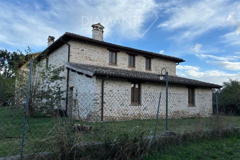 Farm i Castel Ritaldi, Perugia, Castel Ritaldi - € 1.250.000 | Ref: AZ268 - foto 3