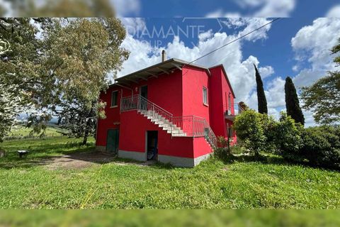 Farm i Scansano, Grosseto, Scansano - € 820.000 | Ref: AZ262 - foto 1