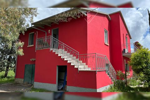 Farm i Scansano, Grosseto, Scansano - € 820.000 | Ref: AZ262 - foto 2